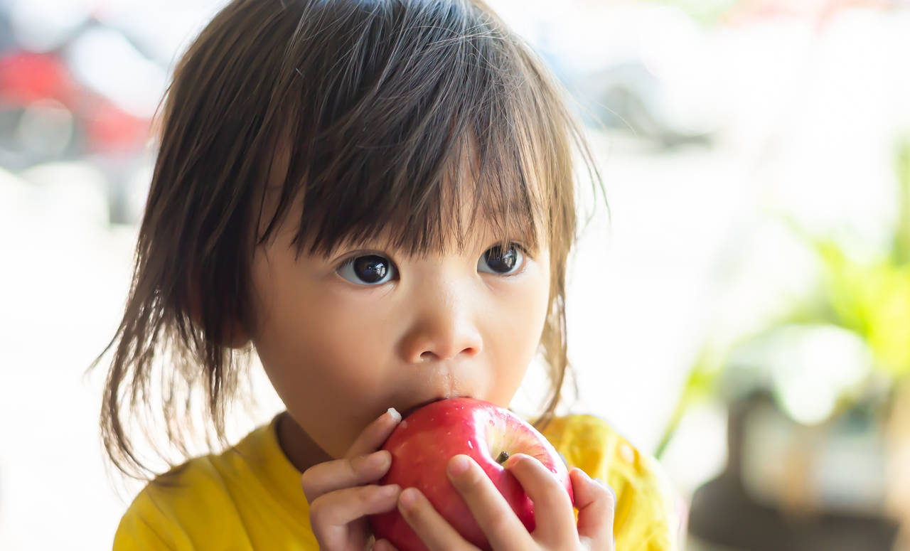 Un enfant en train de manger une pomme Un enfant en train de manger une pomme