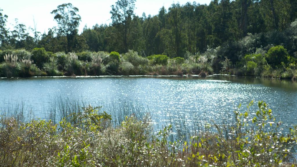 Lac de la réserve naturelle de Salus Lac de la réserve naturelle de Salus