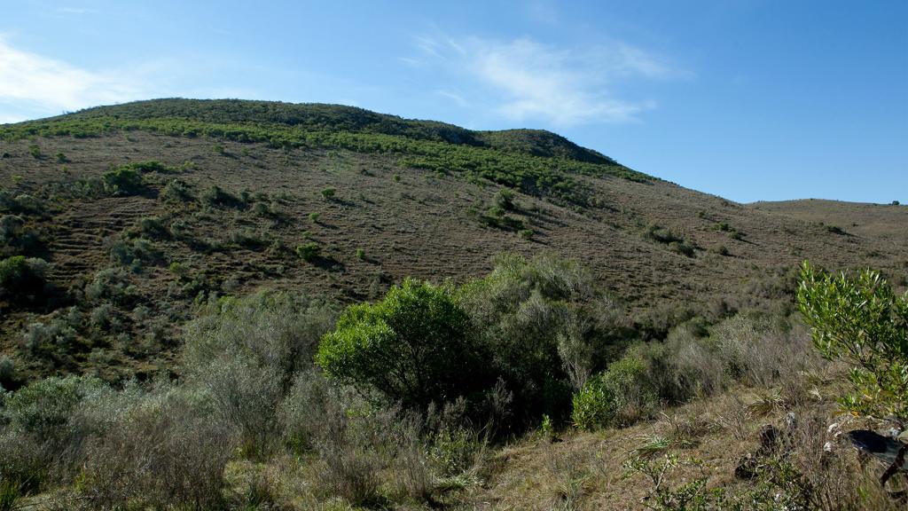 Colline de la réserve naturelle de Salus Colline de la réserve naturelle de Salus