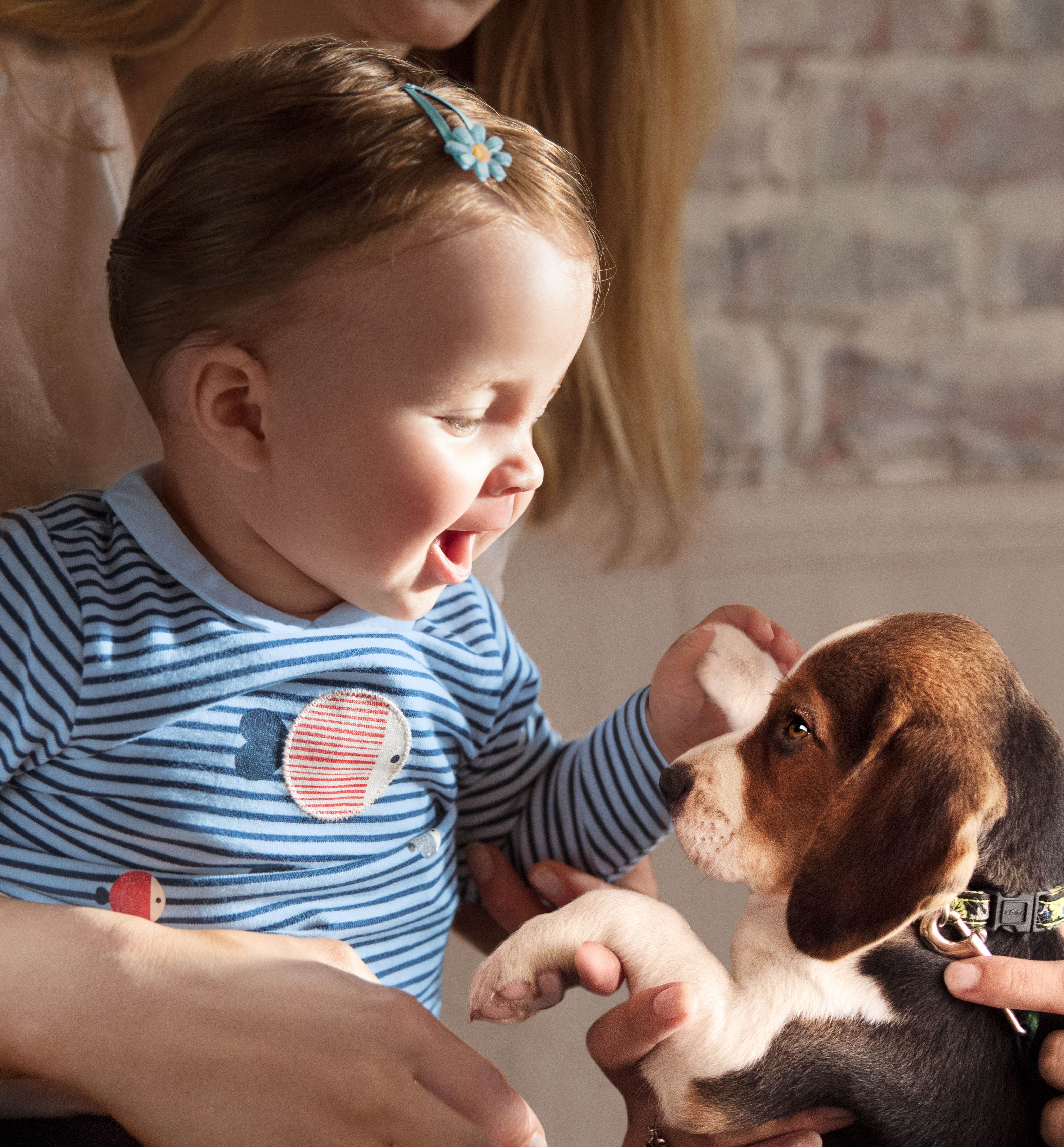 Aptamil_Baby_Dog.jpg