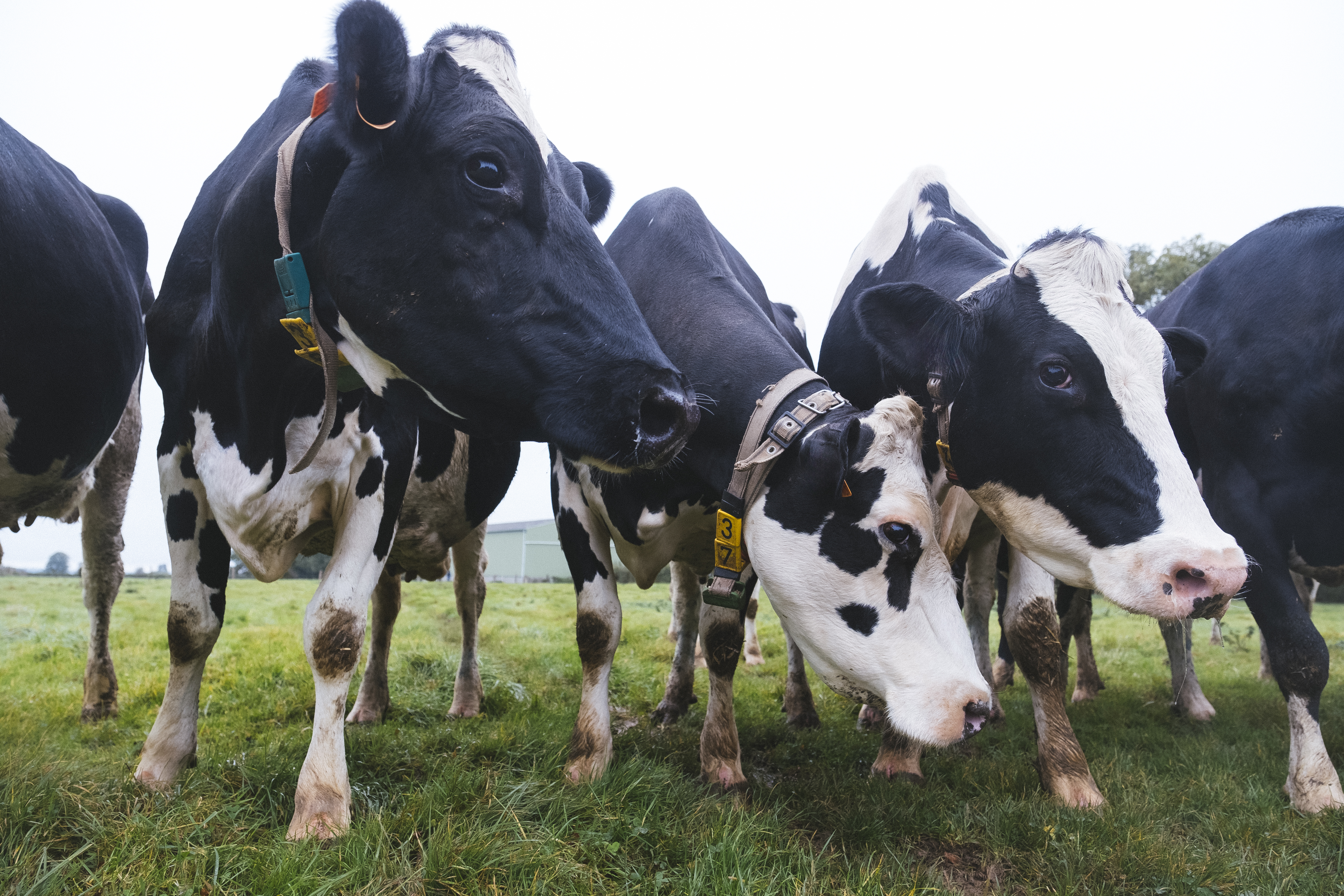 Développer l'agriculture régénératrice