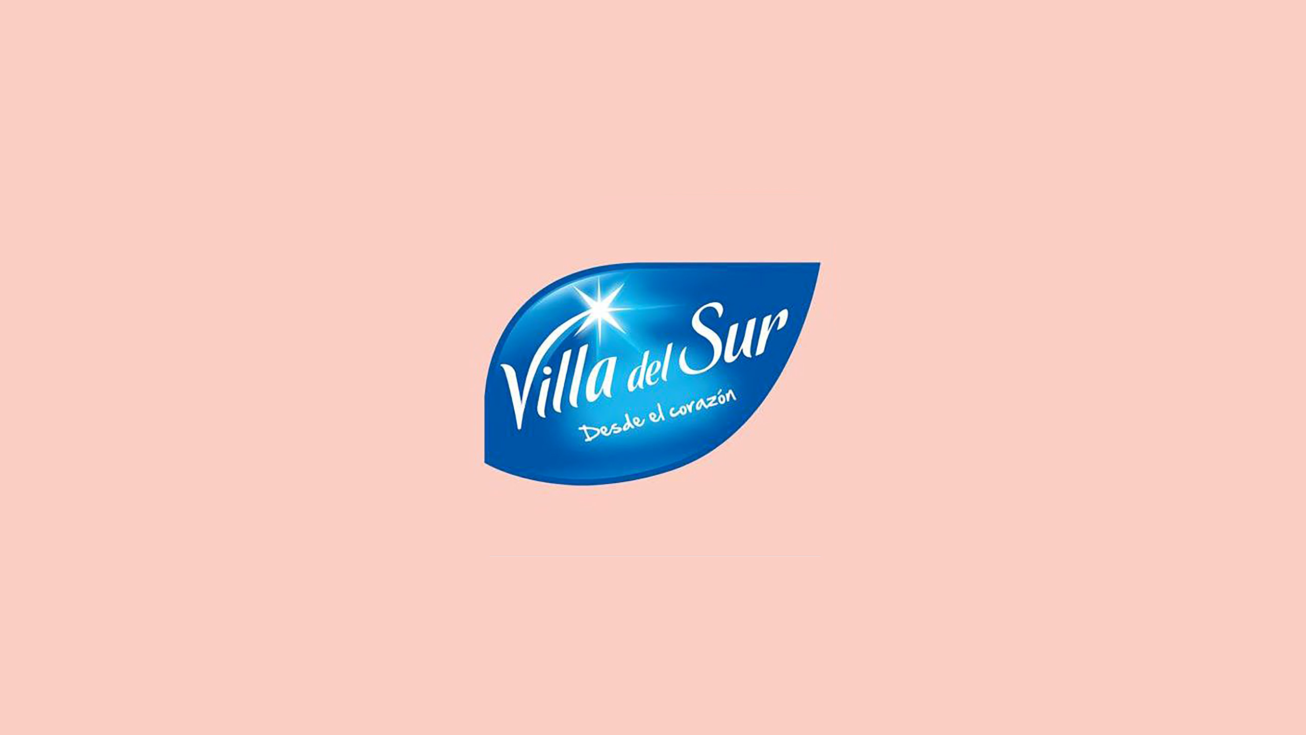 logo Villa del Sur